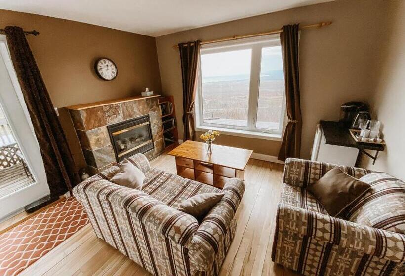 带大床的标准间, Irish Mountain Suites