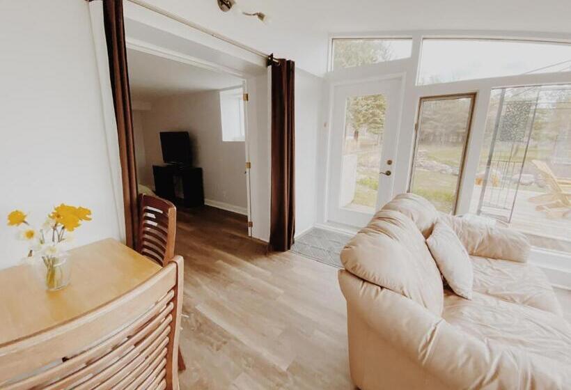 带大床的标准间, Irish Mountain Suites
