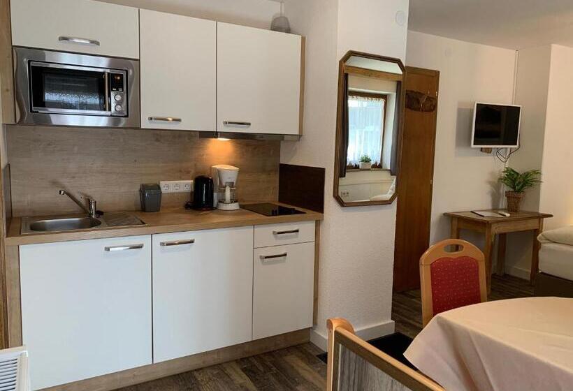 Апартаменты 1 Спальня, Pension Jagerhof   Sommercard Inkl   5 Min Zum Hochzeiger
