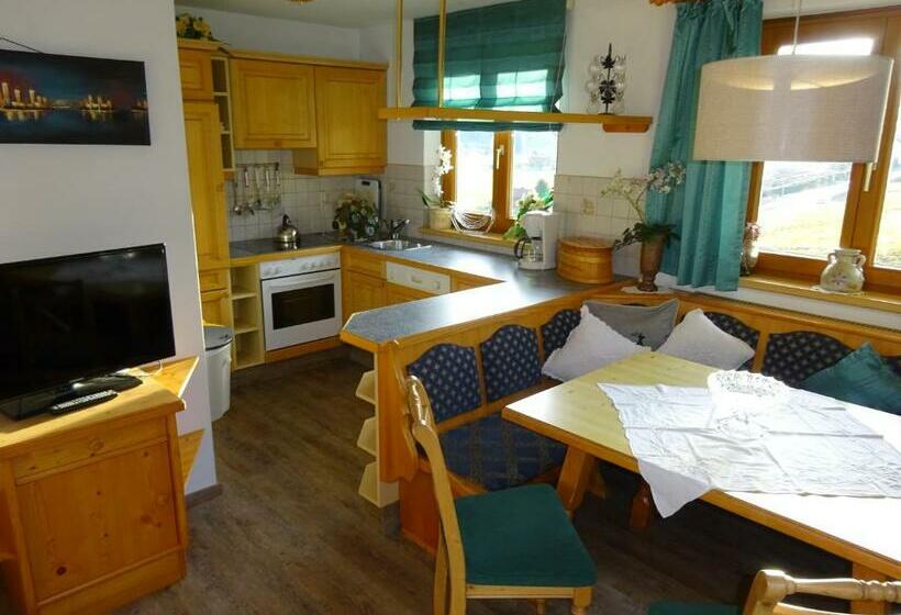آپارتمان 2 خوابه با بالکن, Pension Tannenhof