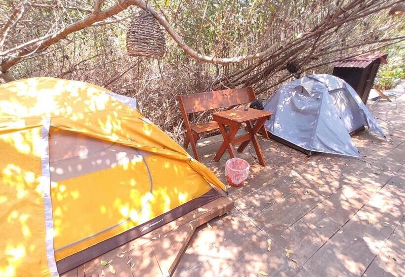 Standard Tent, Posada Corazon Mazunte