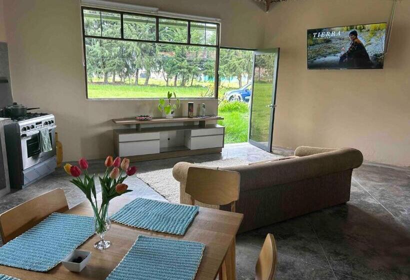 اتاق استاندارد سه نفره, Room In Bungalow   Loft Del Fundo Del Abuelo