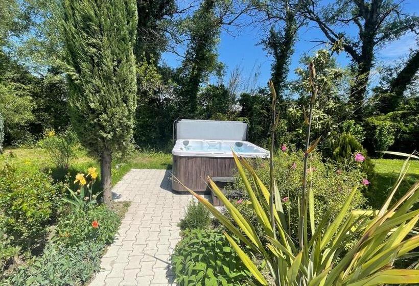 Люкс, B&b Chambre D Hôtes Gai Félibre Avec Piscine Et Jacuzzi