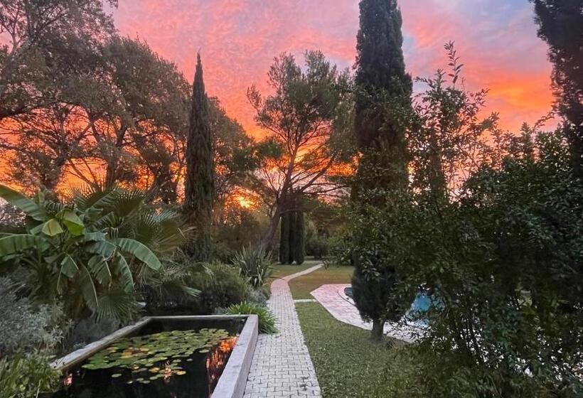 Люкс, B&b Chambre D Hôtes Gai Félibre Avec Piscine Et Jacuzzi