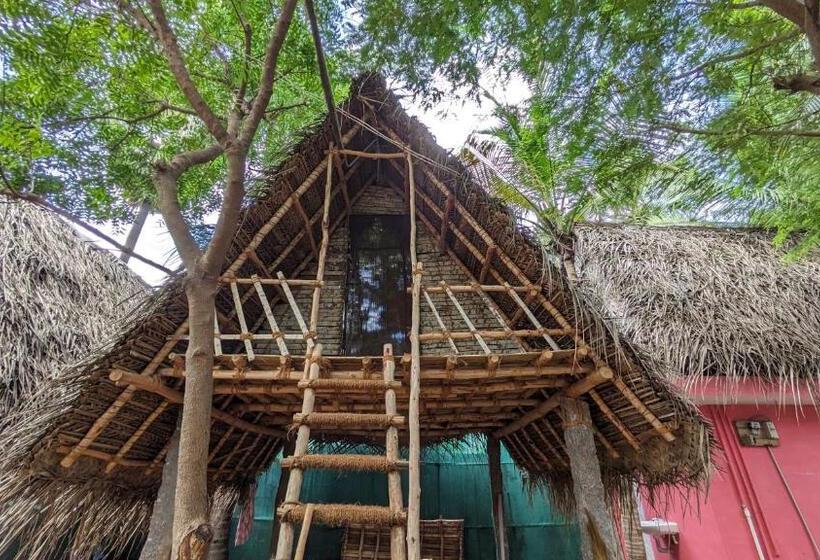 Номер Стандарт, Banana Beach House