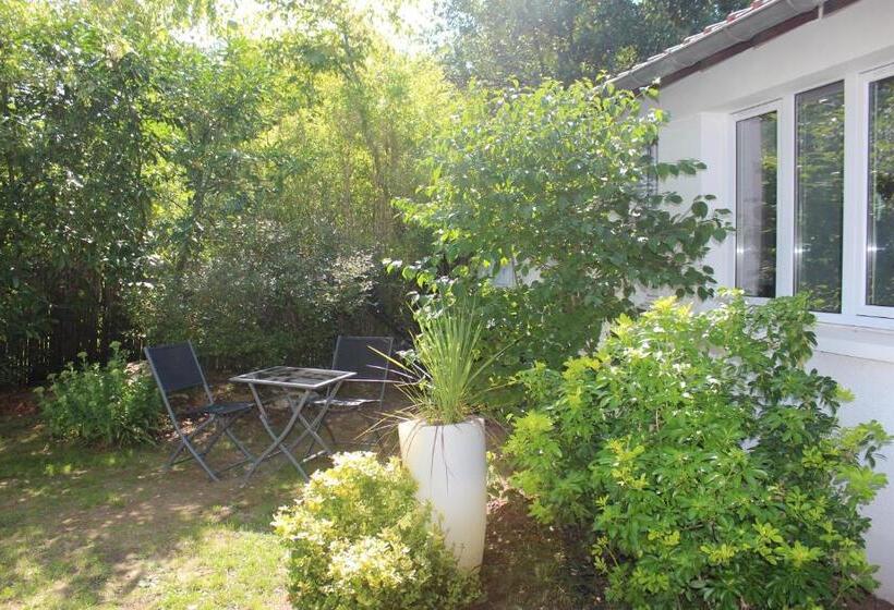 Family Suite, Au Tour Des Bois