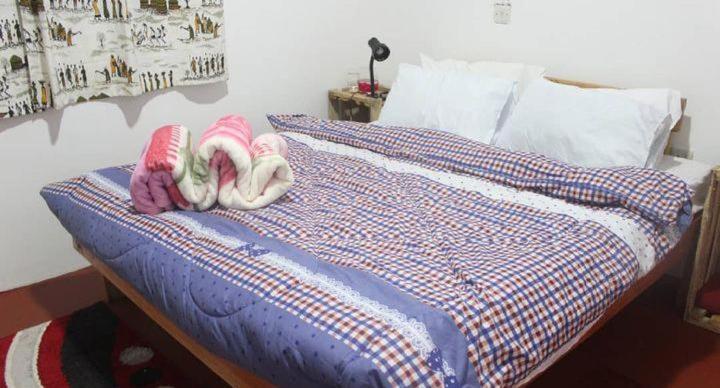 اتاق لوکس یک تخته, Tamaduni Hostel