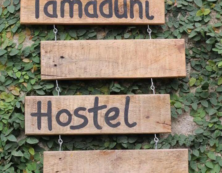 اتاق لوکس یک تخته, Tamaduni Hostel