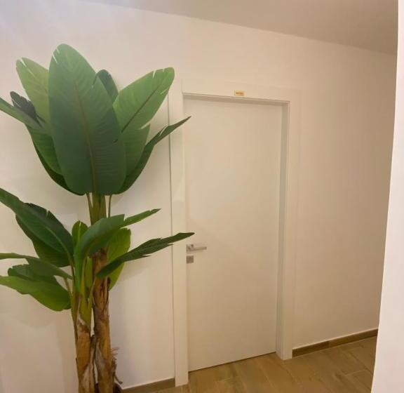 اتاق استاندارد, B&b Selâavì Stabia