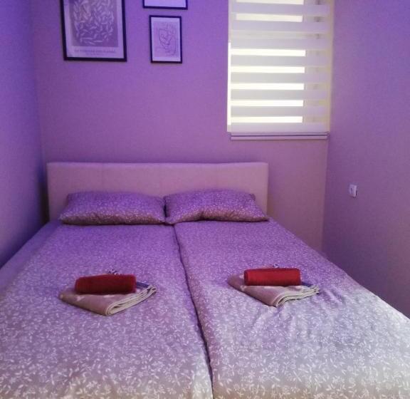 اتاق لوکس, Blue Carpet Rooms