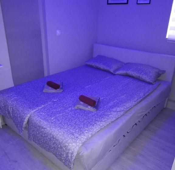 اتاق لوکس, Blue Carpet Rooms