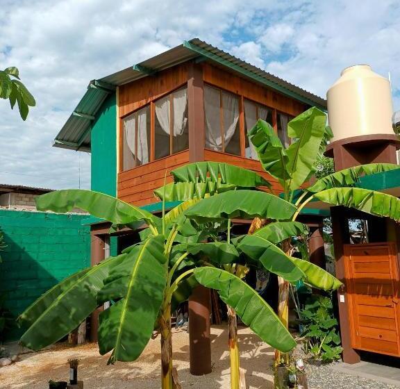 Номер Стандарт Вид на Сад, Oridleys Hostel16