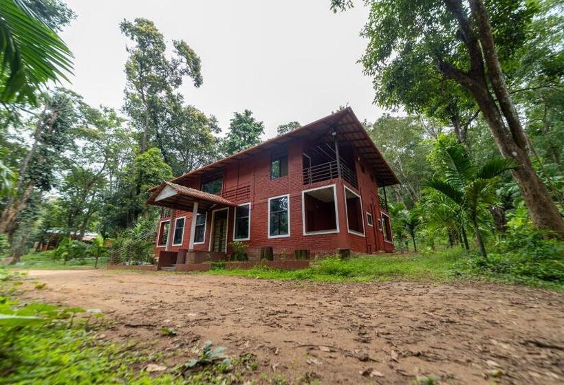 Quarto Deluxe com Sacada, Uk Nature Stay