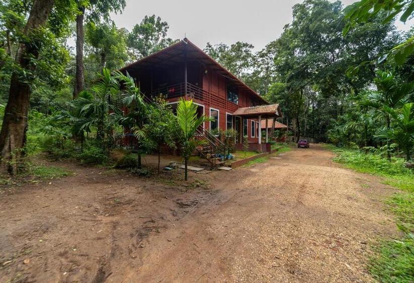 Номер Deluxe с Балконом, Uk Nature Stay