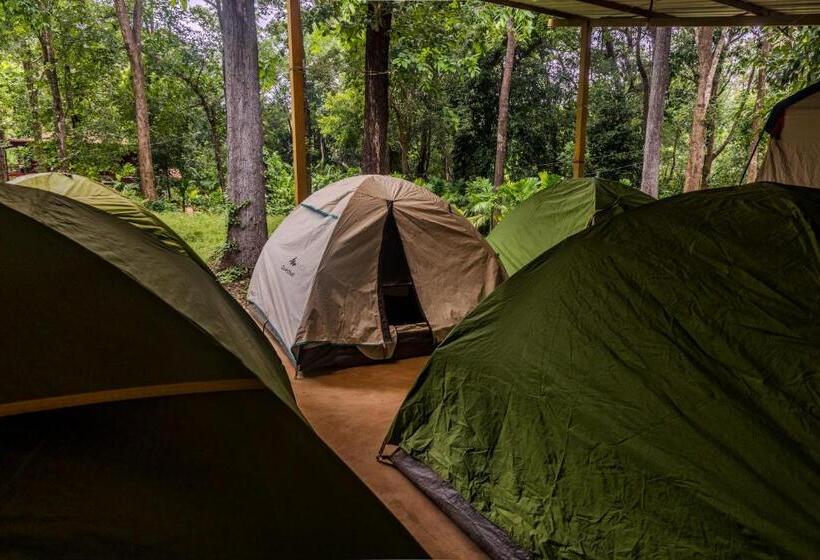 Standard Tent, Uk Nature Stay