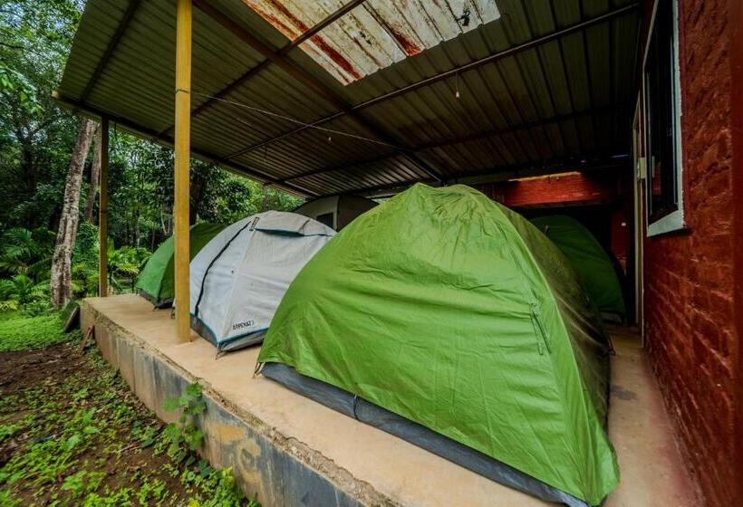 Standard Tent, Uk Nature Stay