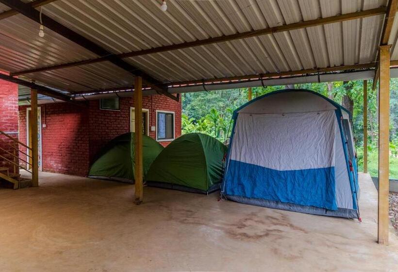 Standard Tent, Uk Nature Stay