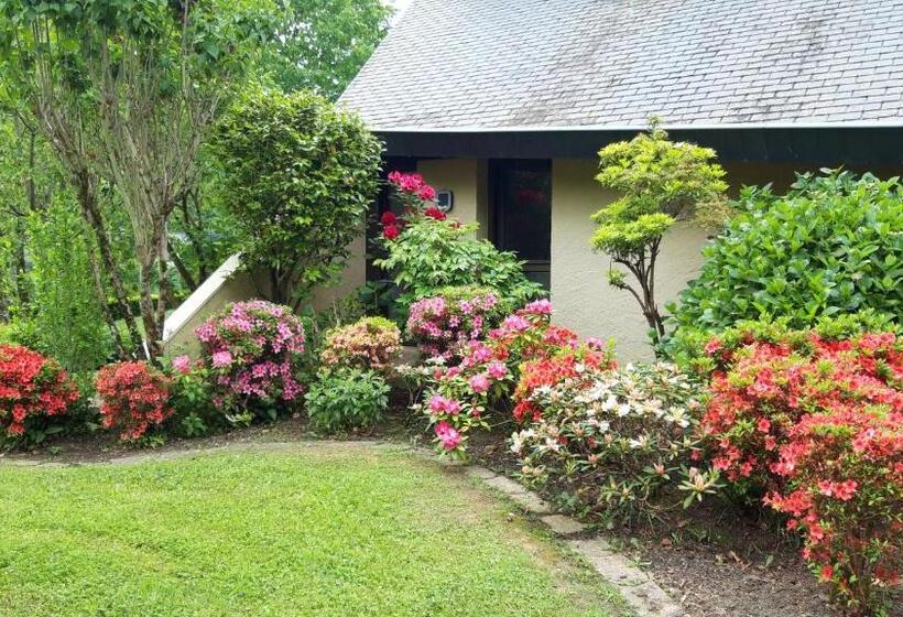 Стандартный Номер Кровать Кинг, Jardin Des Chats