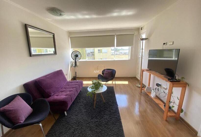 Апартаменты 1 Спальня, Departamento Sor Vicenta