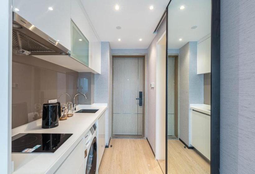 آپارتمان سوپریور 1 خوابه, Boston Executive Apartments