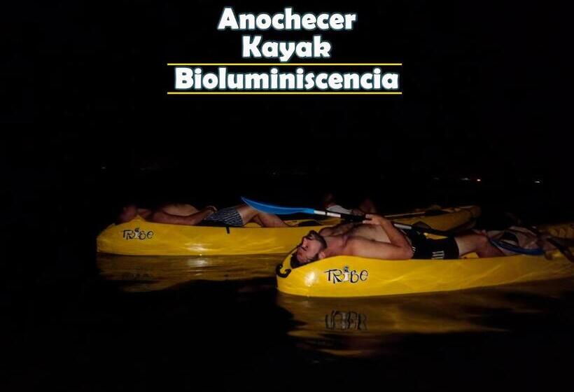 اتاق استاندارد با بالکن, Bioluminiscencia Hostel Tours   North