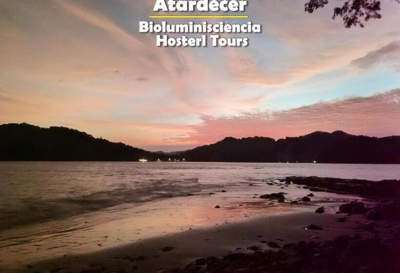 اتاق استاندارد, Bioluminiscencia Hostel Tours   North