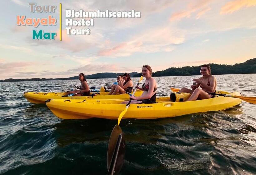 اتاق استاندارد, Bioluminiscencia Hostel Tours   North