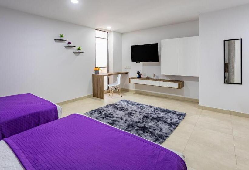 اتاق استاندارد چهار تخته, Winday Hotel Express