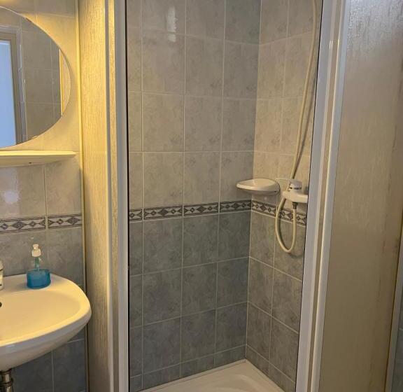 اتاق استاندارد, Misleny Home