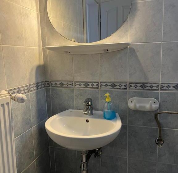 اتاق استاندارد یک نفره, Misleny Home