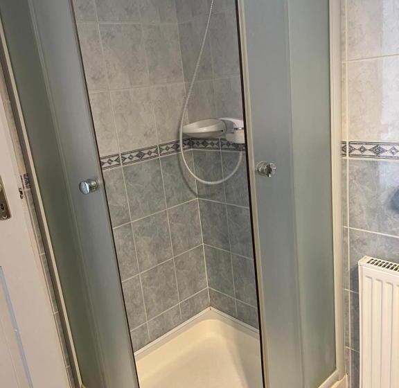 اتاق استاندارد یک نفره, Misleny Home