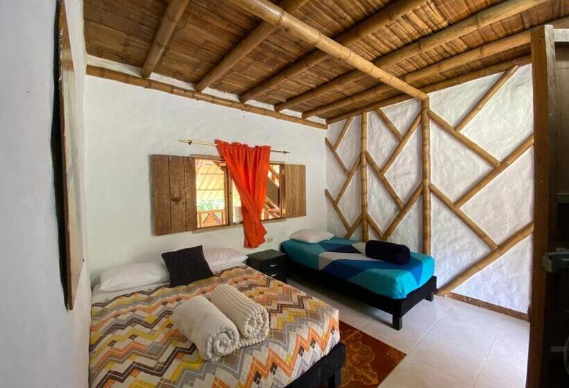 Номер Стандарт, La Greca   Casa De Paz