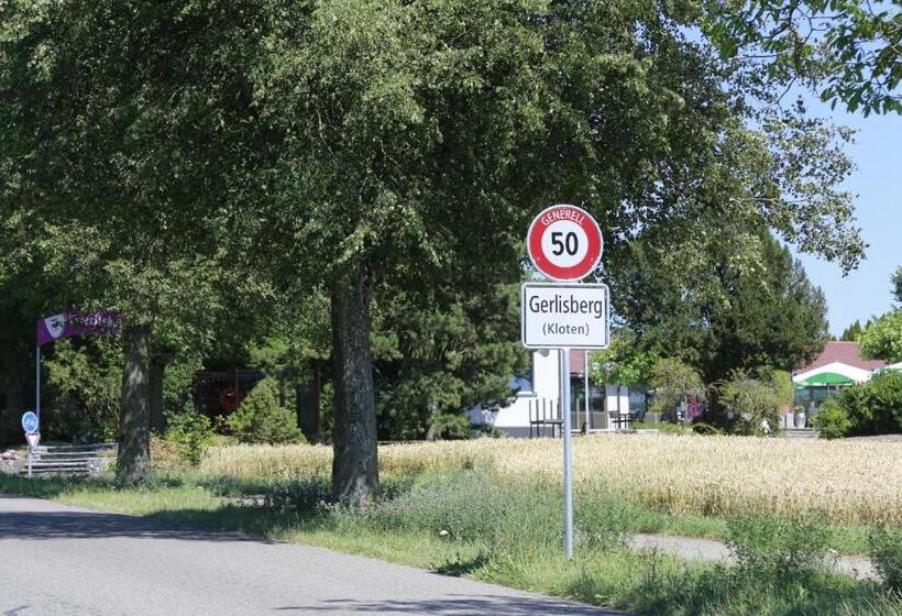 اتاق استاندارد با سرویس بهداشتی مشترک, Pension Geerlisburg