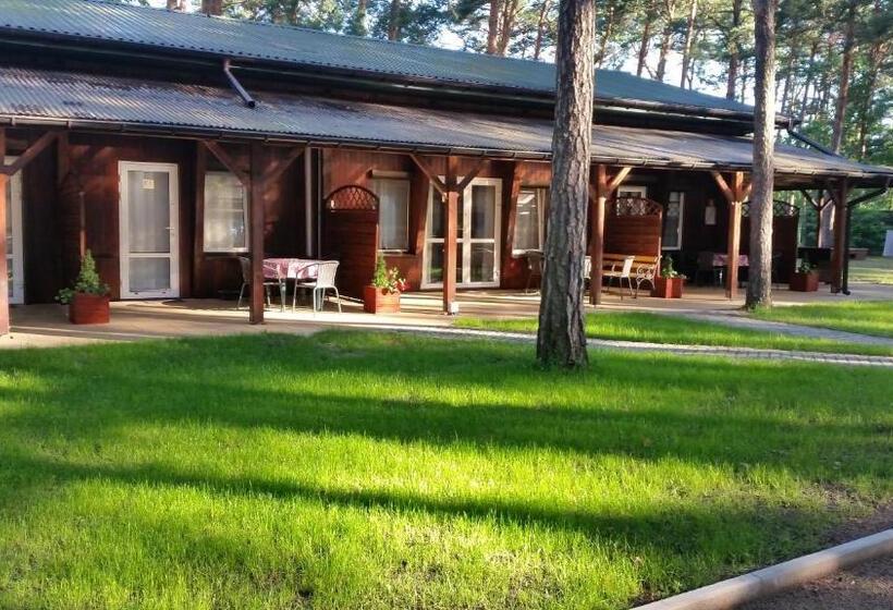 Бунгало Стандарт, Eljot