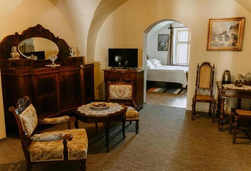 Семейный Номер, Fronius Boutique Residence