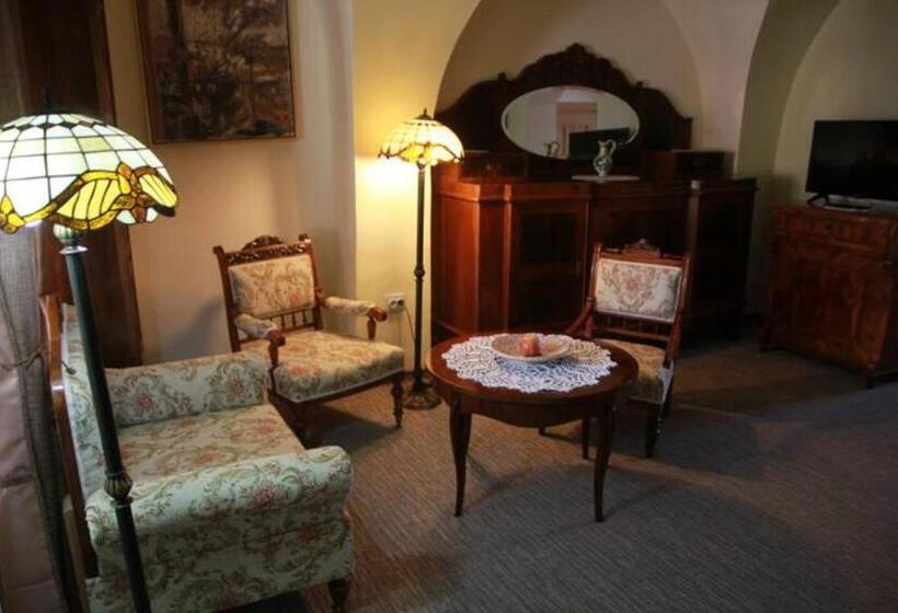 اتاق خانوادگی, Fronius Boutique Residence
