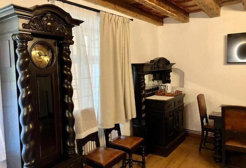 آپارتمان لوکس 1 خوابه, Fronius Boutique Residence