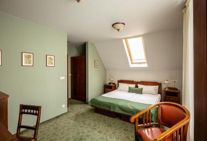 Номер Комфорт, Villa Elise Park Pension