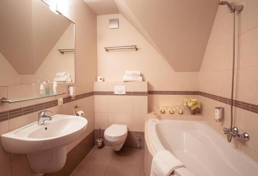 Трехместный Номер Комфорт, Villa Elise Park Pension