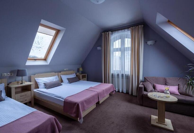 Трехместный Номер Комфорт, Villa Elise Park Pension