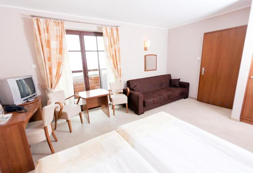 Трехместный Номер Superior, Vital&spa Resort Szarotka