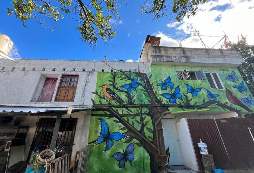 تختخواب در اتاق مشترک, Hostel Xiinbal Habitación Comunitaria