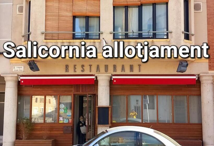 Номер Стандарт, Salicornia Doble