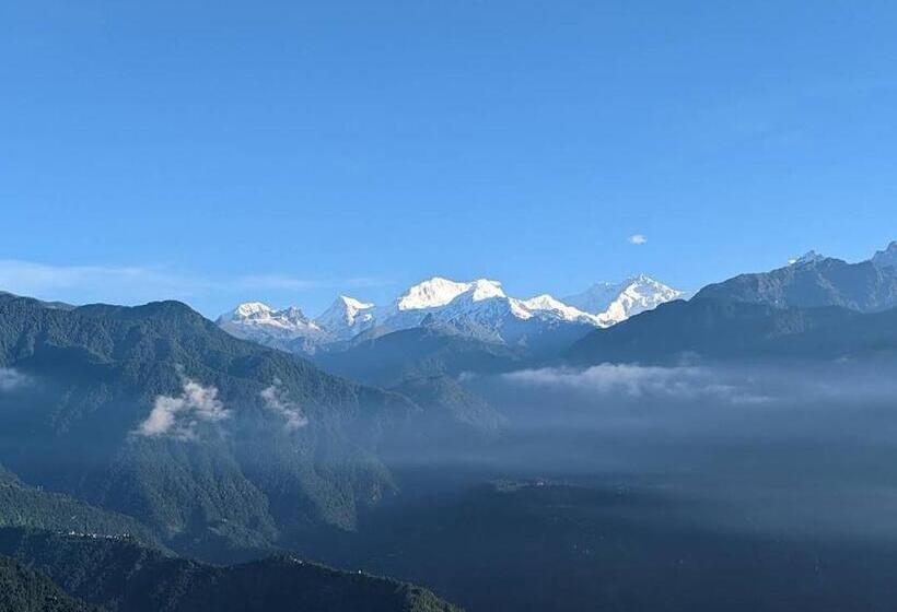 经济房, The Ace Pine Valley
