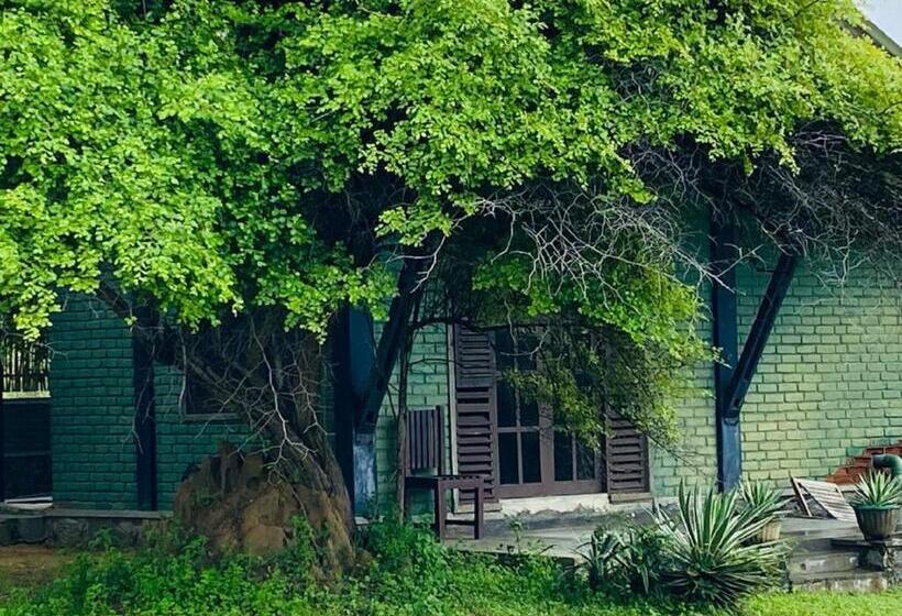 标准间, Yala Ying Yang Hostel & Camping