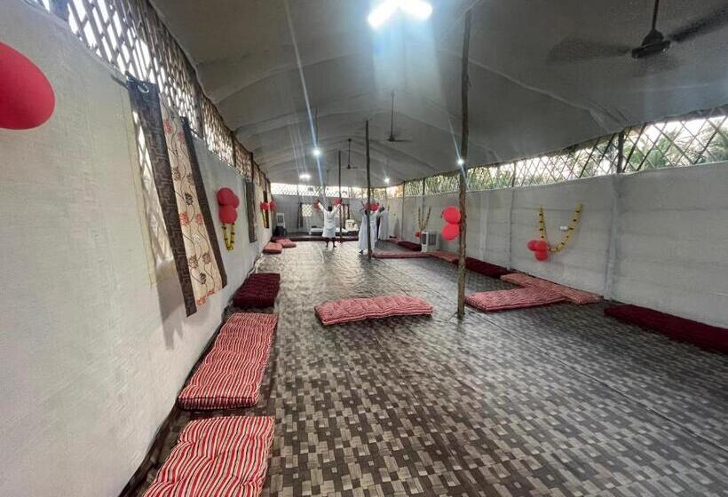 Номер Стандарт, Sydney X Huts