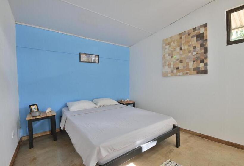 Номер Стандарт, Hostel Real