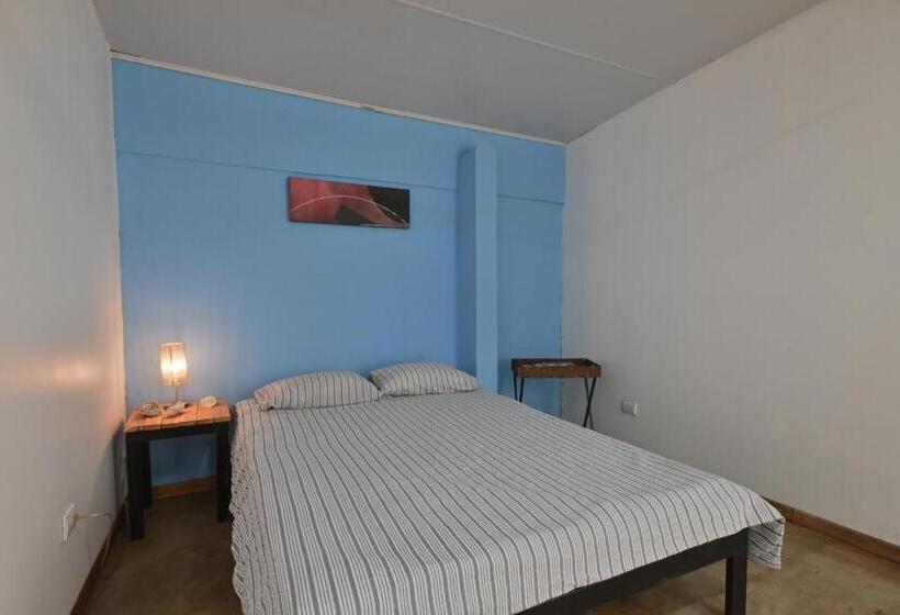 Номер Стандарт, Hostel Real