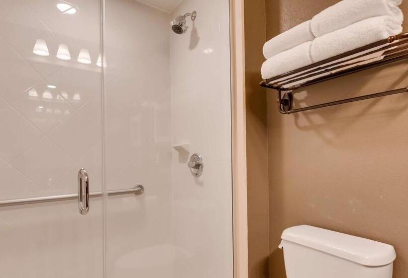 Номер Стандарт Кровать Кинг Адаптированный для Инвалидов, Best Western Plus Chandler Hotel & Suites