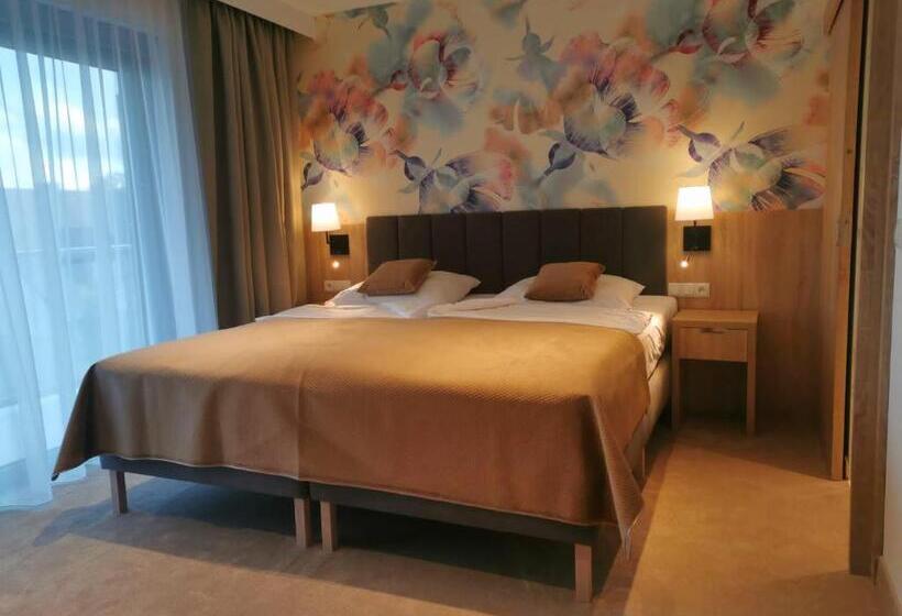 Номер Deluxe, Skal Medi Spa & Resort
